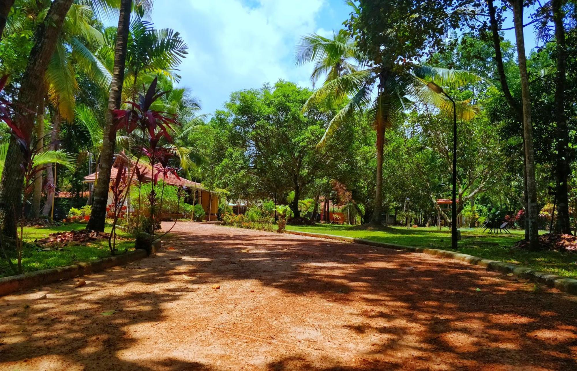 Palathra Heritage Mararikulam Exterior photo
